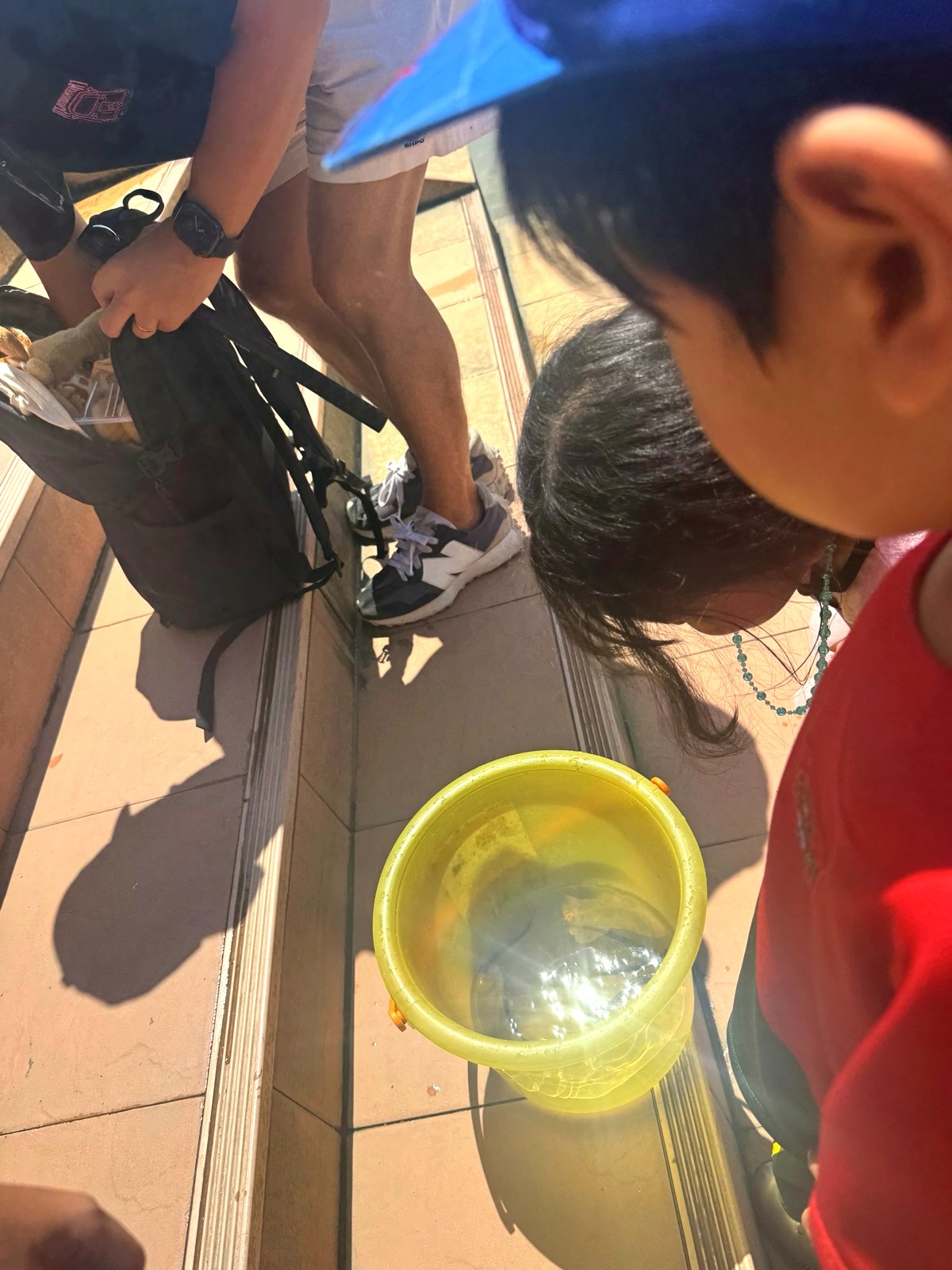 1人20バーツで魚を買い、川に放して徳を積む