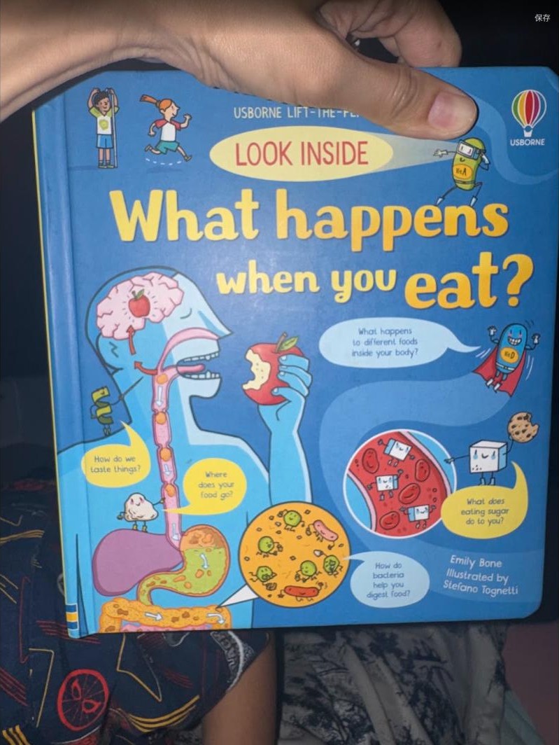 Usborne Lift-the-flap What Happens When You Eat?