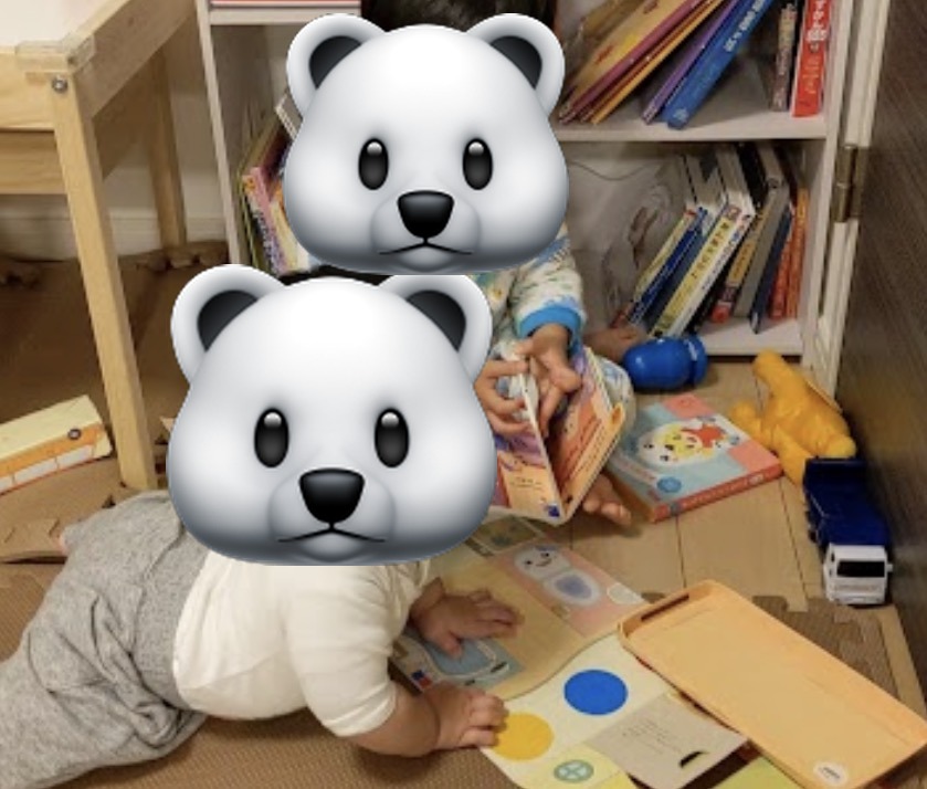 兄弟でこどもちゃれんじの紙教材で遊ぶ様子